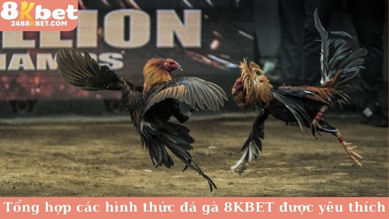 Tổng hợp các hình thức đá gà 8KBET được yêu thích