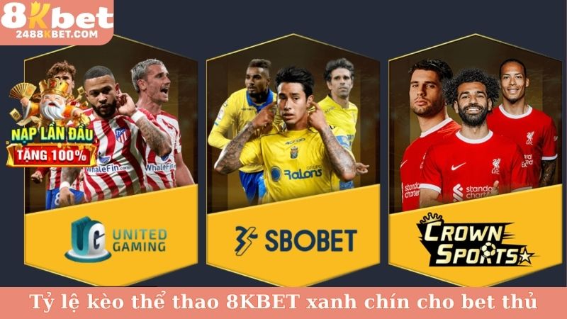 Tỷ lệ kèo thể thao 8KBET xanh chín cho bet thủ
