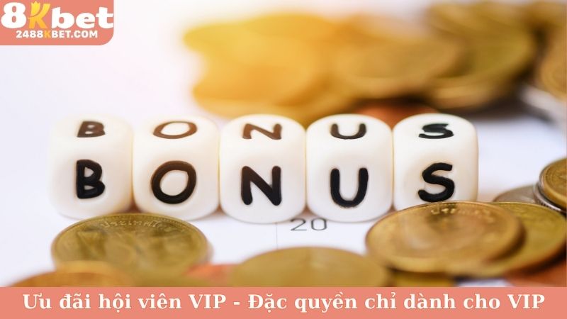 Ưu đãi hội viên VIP - Đặc quyền chỉ dành cho VIP