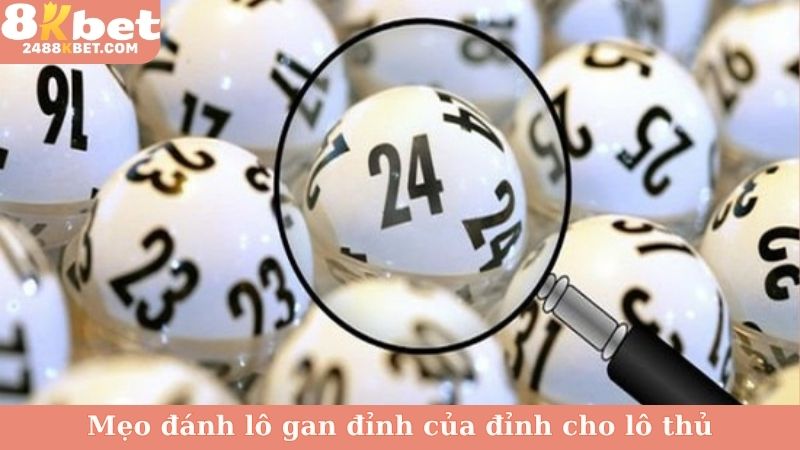 Mẹo đánh lô gan đỉnh của đỉnh cho lô thủ