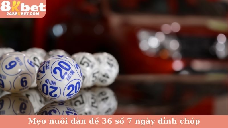 Mẹo nuôi dàn đề 36 số 7 ngày đỉnh chóp