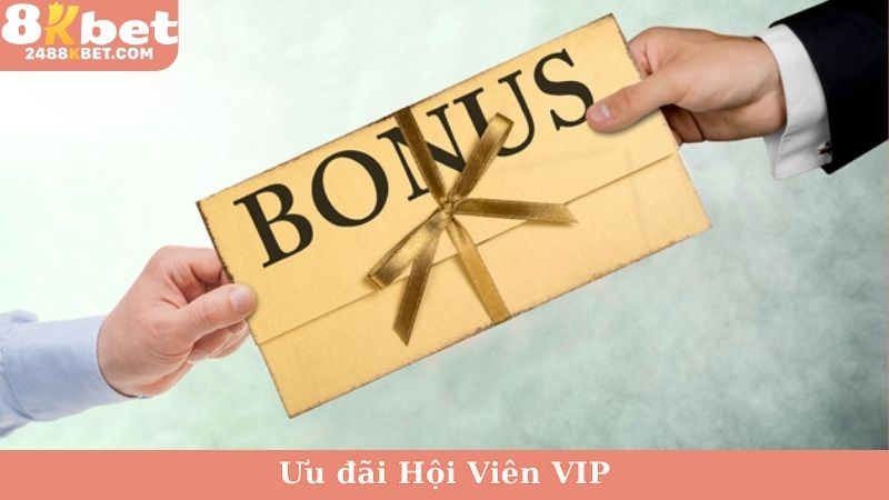 Ưu đãi hội viên VIP